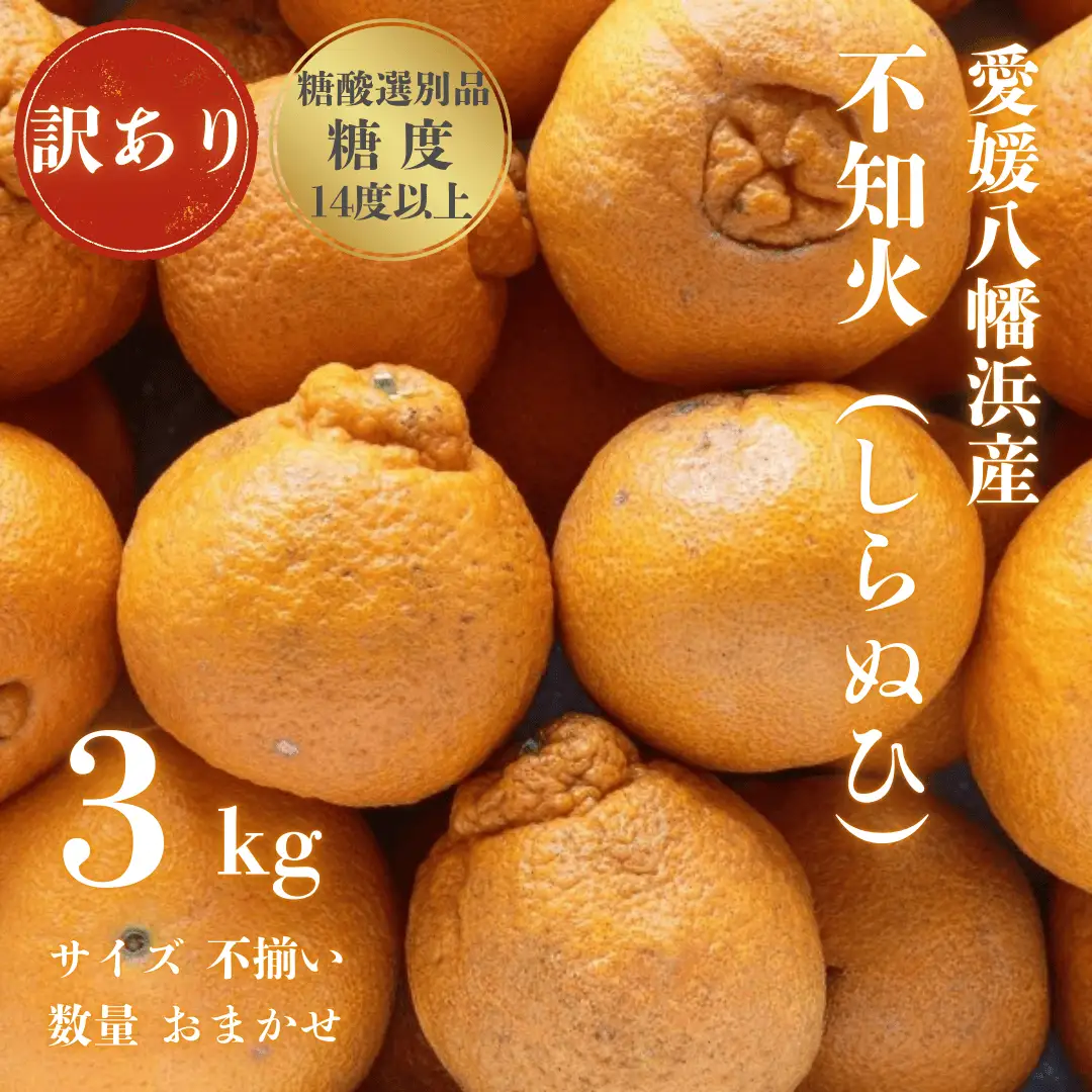 【先行受付】【糖度14.0以上 酸1.4以下】糖酸選別品 訳あり 不知火 (しらぬひ) 3kg【C20-58】【配送不可地域：離島】【1620248】 YWTI053