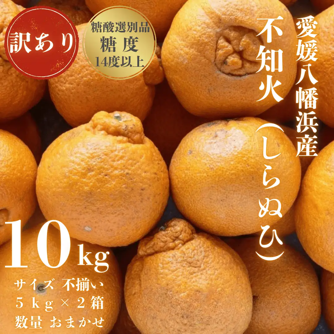 【先行受付】【糖度14.0以上酸1.4以下】糖酸選別品 愛媛産 訳あり不知火(しらぬひ)10kg【F20-63】【配送不可地域：離島】【1620233】 YWTI058