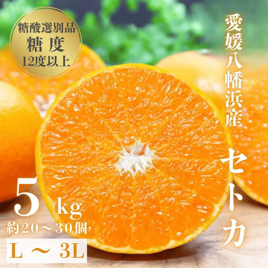 【【先行受付】みかんの大トロ】糖度12.0以上 酸1.4以下 糖酸選別品 愛媛セトカ 5kg【G20-65】【1620326】 YWTI060