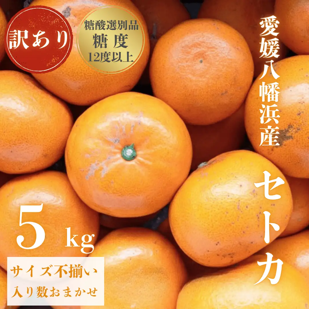 【先行受付】【みかんの大トロ】糖度12.0以上酸1.4以下 糖酸選別品 訳あり 愛媛セトカ5kg【D20-74】【1620328】 YWTI069