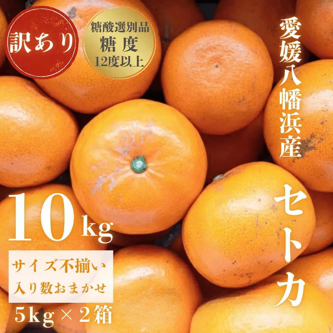 【先行受付】【みかんの大トロ】糖度12.0以上酸1.4以下 糖酸選別品 訳あり愛媛セトカ10kg【G20-75】【1620329】 YWTI070