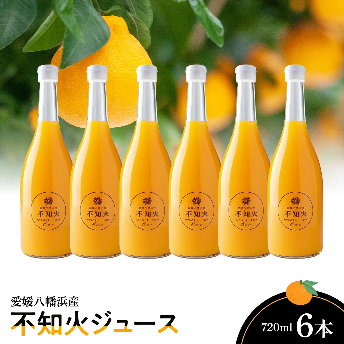 不知火ジュース720ml×6本【E56-67】【1621263】 YWTAS057