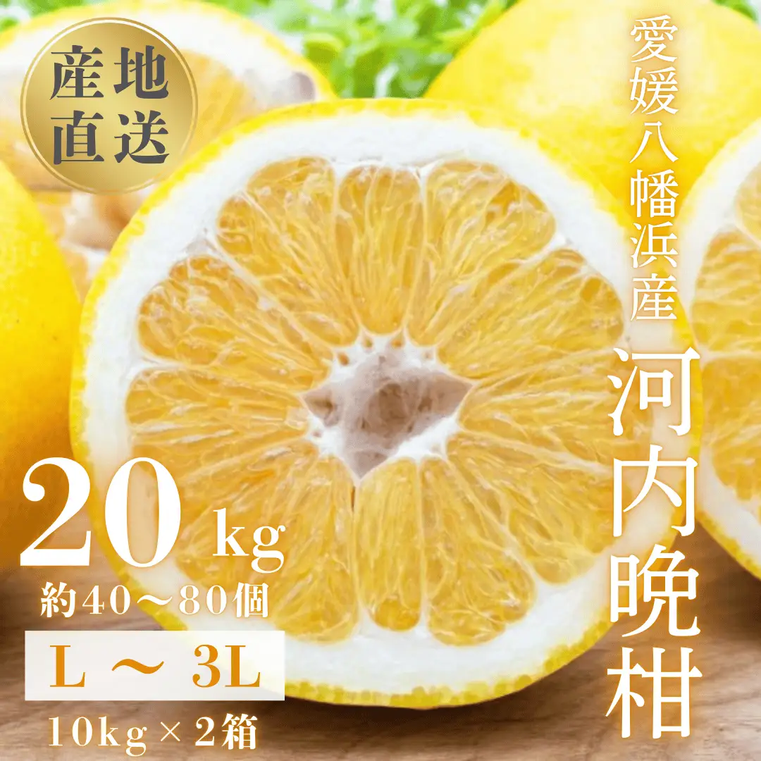 【先行受付】《果汁たっぷりジューシー》産地直送 愛媛八幡浜産 河内晩柑20kg【H20-81】【1621533】 YWTI076