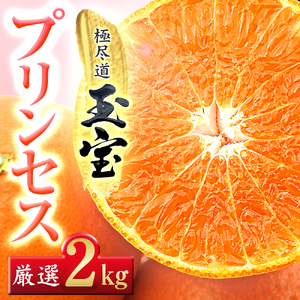 【先行受付】≪新品種!!≫【甘平×まどんな】愛果48号(紅プリンセスと同品種)2kg【D64-76】【1621821】 YWTY065