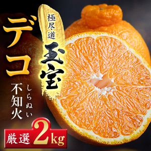 【先行受付】【愛媛名産】玉宝デコ(不知火)　2kg【A64-83】【1623966】 YWTY072