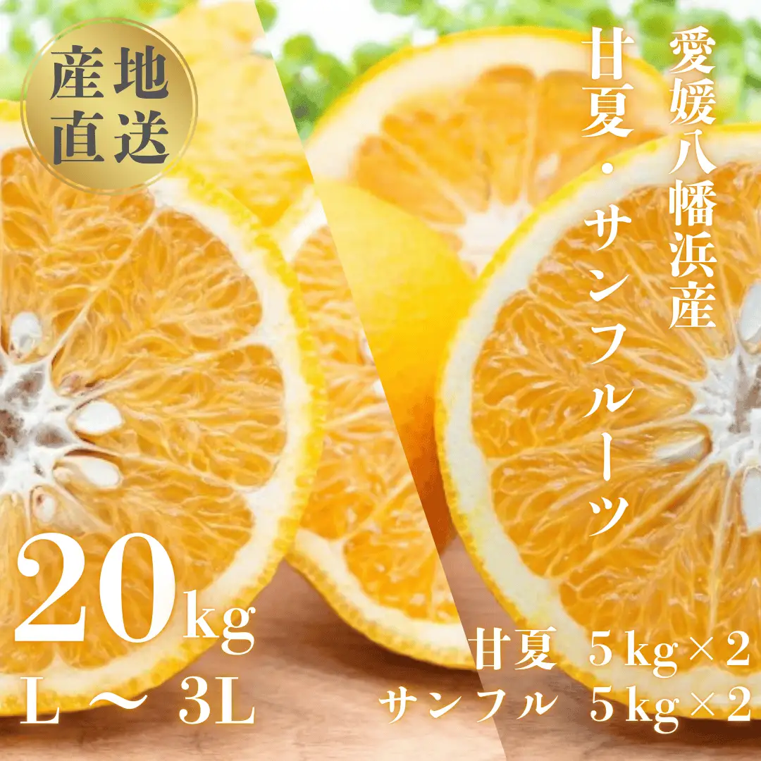 【先行受付】甘夏&サンフルーツ20kg (各10kg)【H20-84】【1625127】 YWTI079
