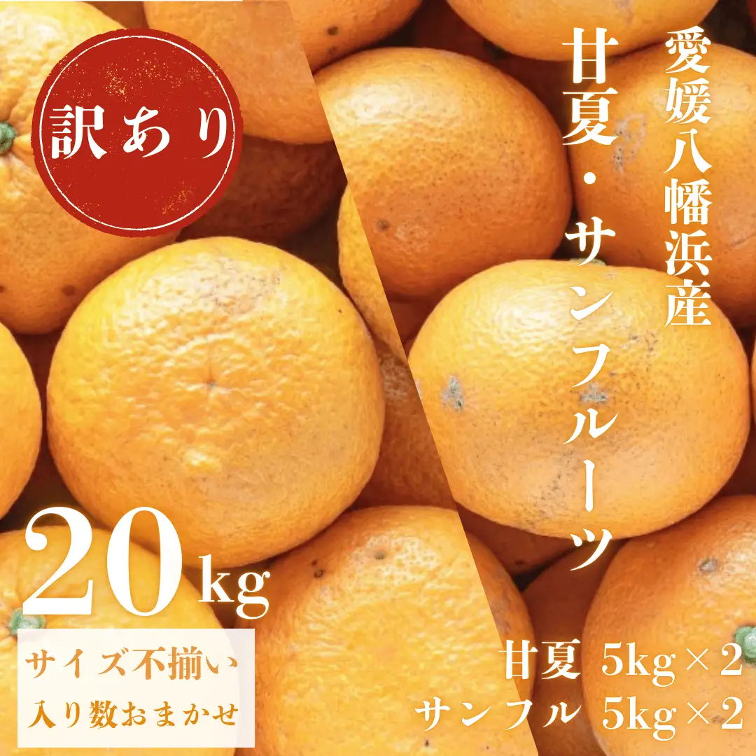 【先行受付】甘夏&サンフルーツ各10kg【訳あり】【F20-85】【1625136】 YWTI080