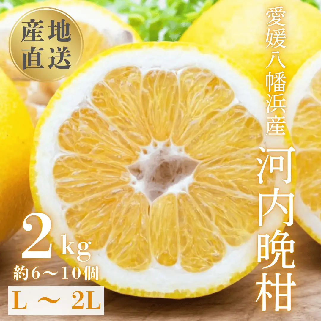 【先行受付】《果汁たっぷりジューシー》産地直送 愛媛八幡浜産 河内晩柑2kg【C20-90】【1625429】 YWTI085