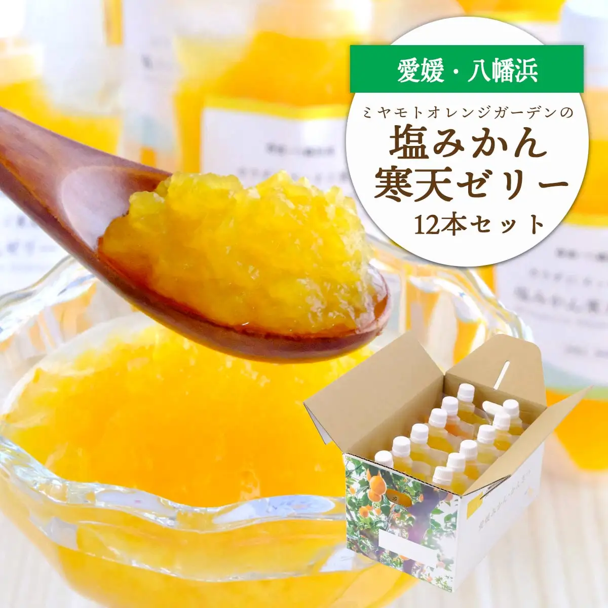 ゲル化剤・pH調整剤不使用!愛媛産 塩みかん寒天ゼリー 12本セット【D25-221】【1628728】 YWTAP162