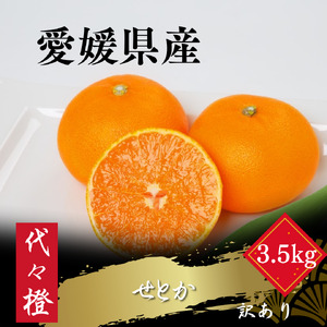 【先行受付】代々橙せとか【訳あり】3.5kg【C83-54】【1633818】 YWTW054