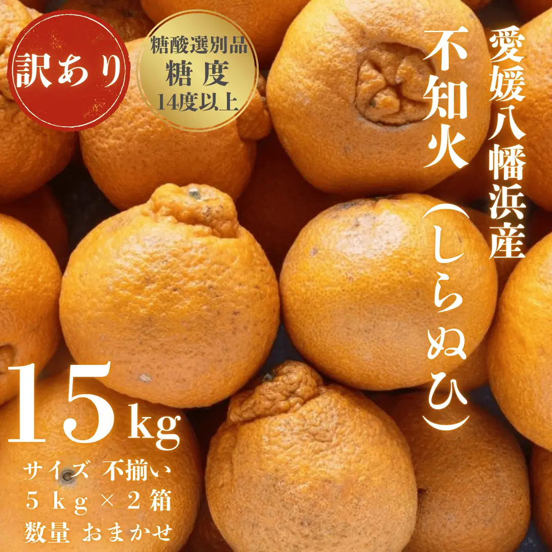 【先行受付】【糖度14.0以上酸1.4以下】糖酸選別品 愛媛産 訳あり不知火(しらぬひ)15kg【G20-96】【配送不可地域：離島】【1625364】 YWTI091