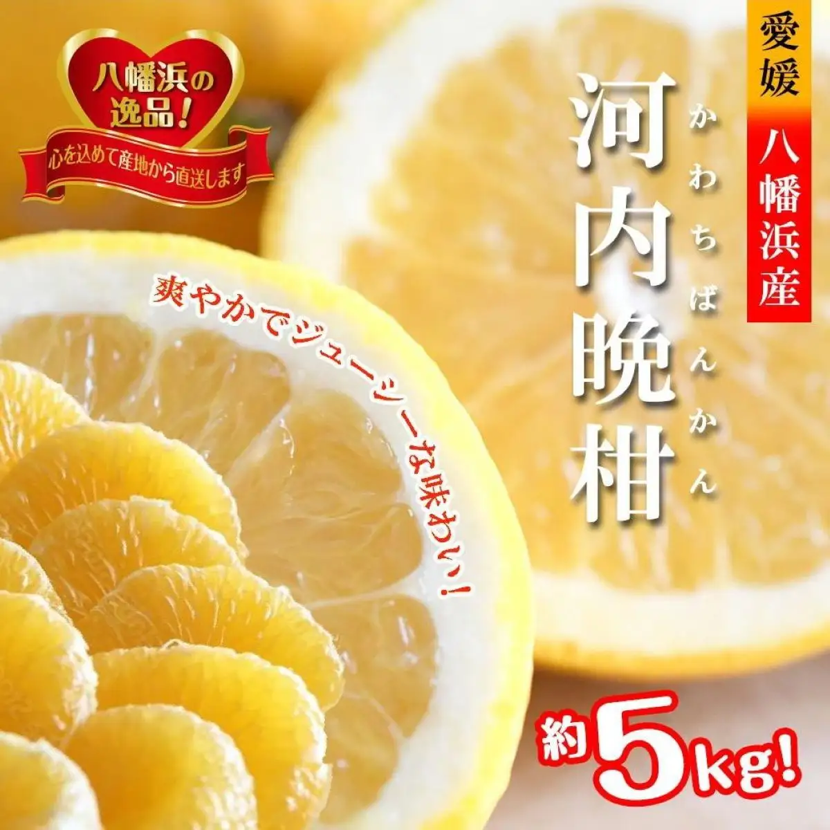 【先行受付】爽やかでみずみずしい!初夏のジューシー「河内晩柑」約5キロ【C39-81】【配送不可地域：離島】【1639646】YWTF056