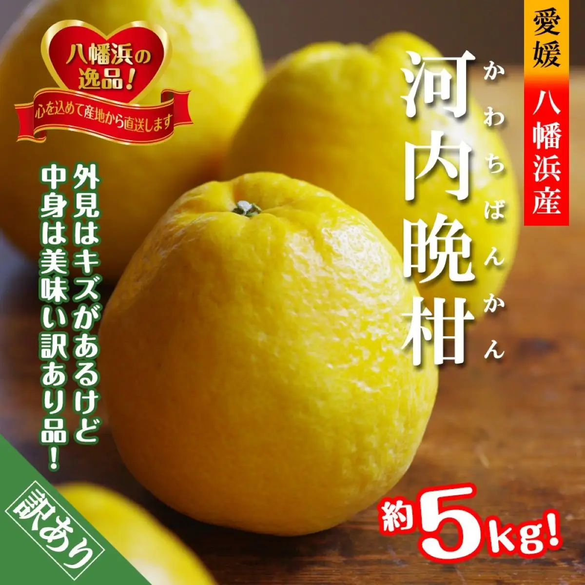 【先行受付】爽やかでみずみずしい!初夏の「河内晩柑」約5キロ【訳あり】【C39-82】【配送不可地域：離島】【1640764】 YWTF057