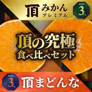 【先行受付】頂みかんプレミアム＆頂まどんな 食べ比べ2箱セット【各3kg】【G31-53】【1643194】 YWTAC042