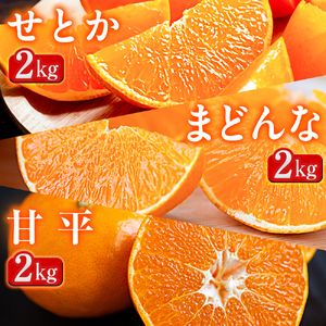 【発送月固定定期便】「蜜時(みつどき)便り」高級3品種　まどんな+甘平+せとか【H64-91】全3回【4069711】 YWTY080