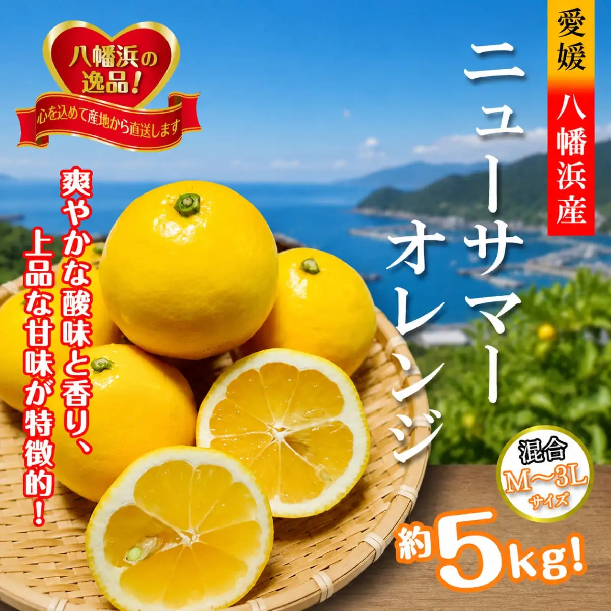 【先行受付】さわやかな香りと上品な甘さ!「ニューサマーオレンジ」約5キロ【D39-83】【配送不可地域：離島】【1649781】 YWTF058