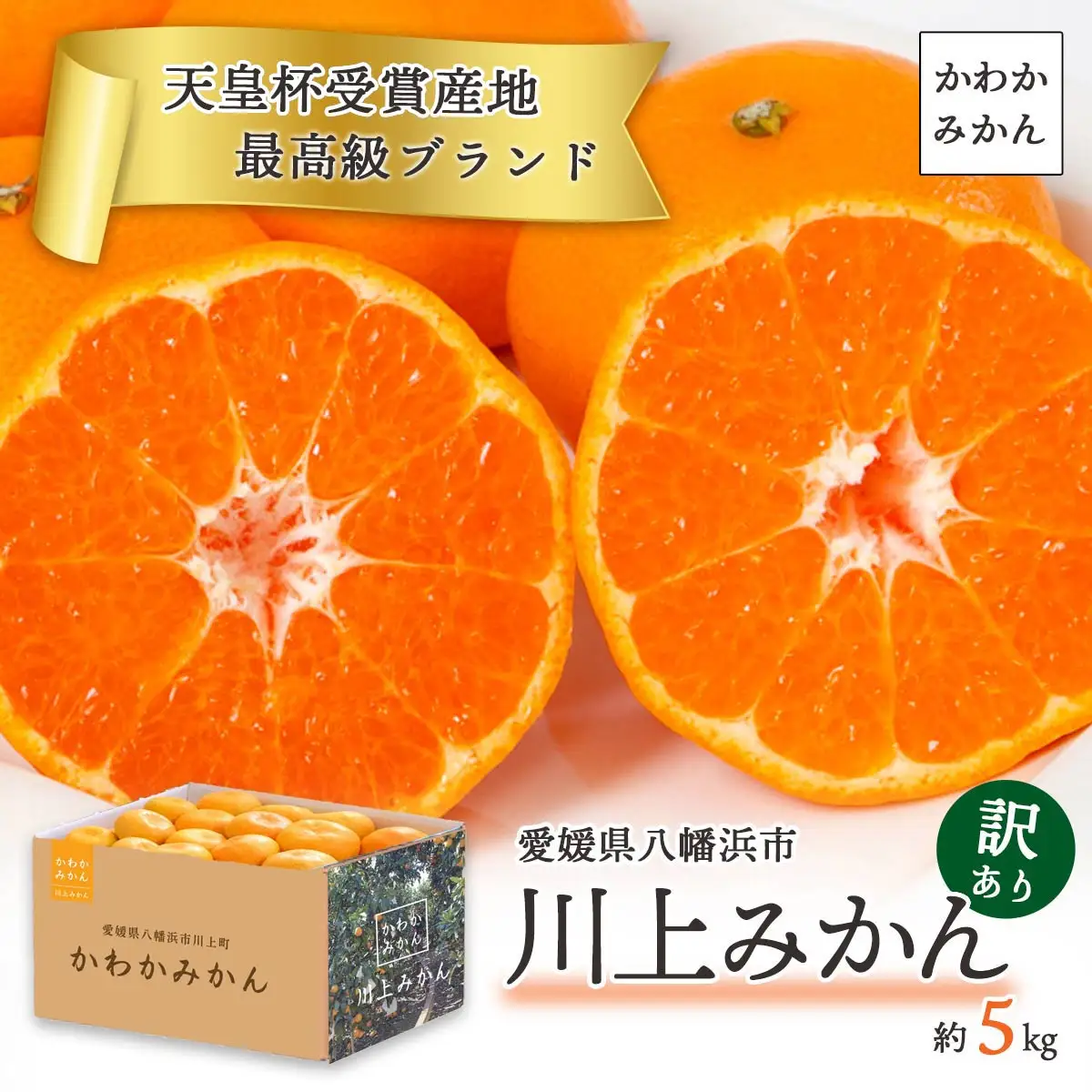 【先行受付】【天皇杯受賞産地】 愛媛県八幡浜市川上町産 温州みかん 約5kg【訳あり】【C25-247】【1654045】 YWTAP188