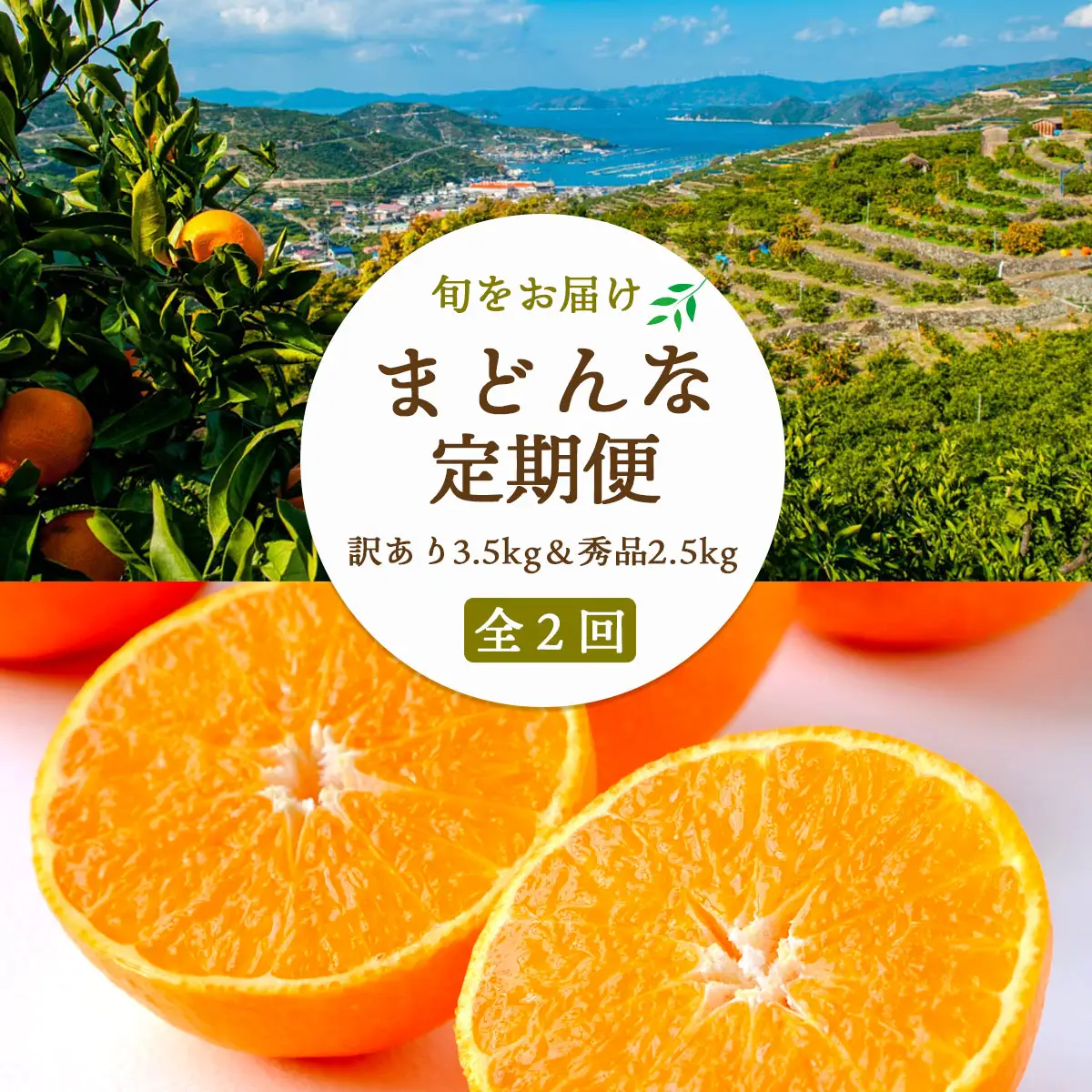 【2週間毎定期便】まどんな3.5kg(訳)×まどんな2.5kg(秀)【G25-264】全2回【4071219】 YWTAP205