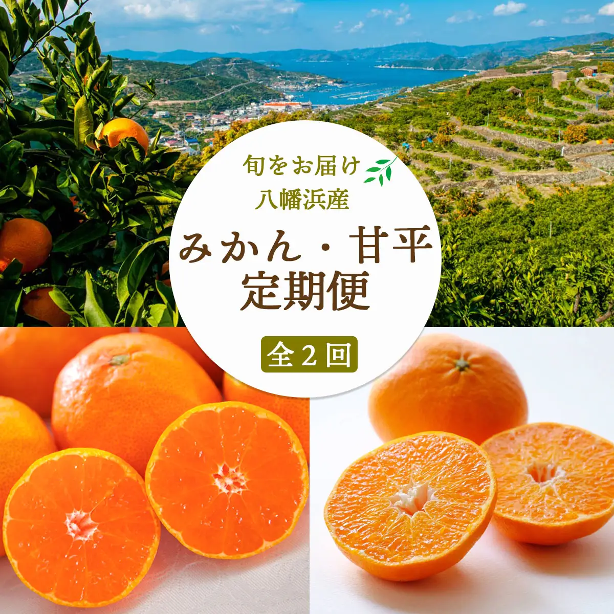 【発送月固定定期便】愛媛みかん5kg×甘平3kg【H25-267】全2回【4071242】 YWTAP208