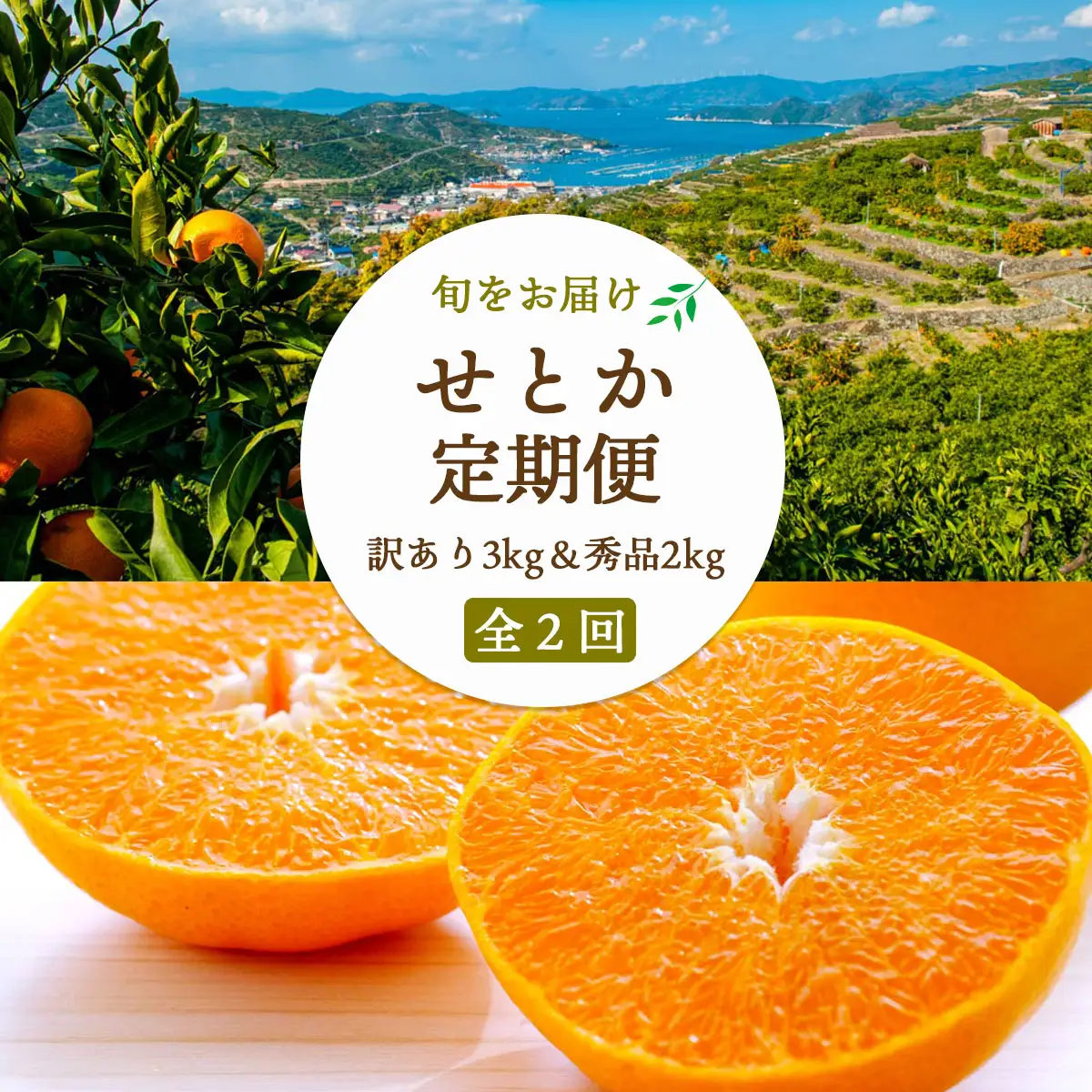 【2週間毎定期便】【約2週間毎】せとか2kg(秀)×せとか3kg(訳)【H25-275】全2回【4071245】 YWTAP216