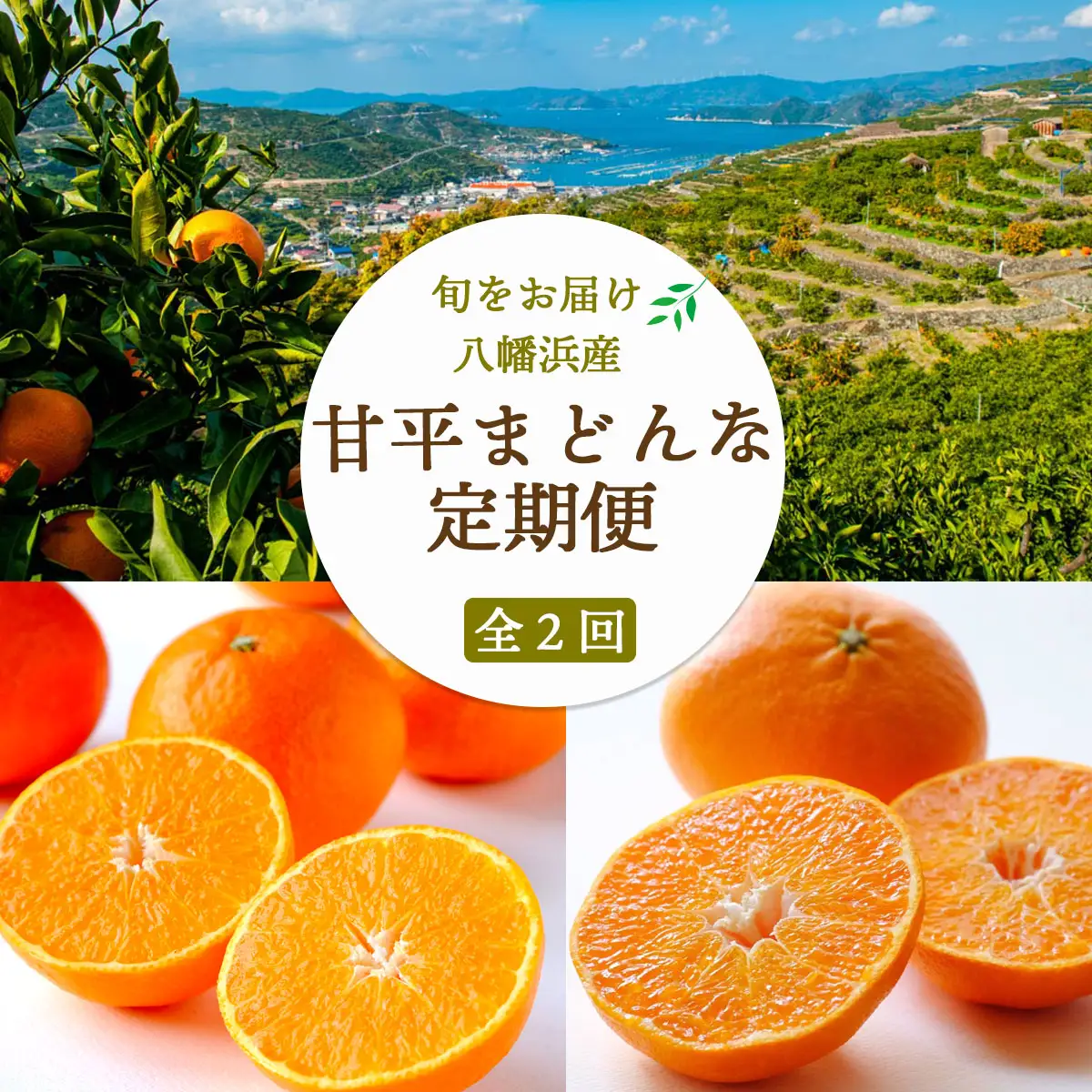 【発送月固定定期便】【愛媛人気高級品種】まどんな3.5kg(訳)×甘平3kg【H25-276】全2回【4071249】 YWTAP217