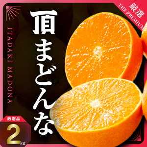【先行受付】【冬限定の贅沢】ゼリーのような果肉!頂まどんな 2kg【D31-54】【1660046】 YWTAC043