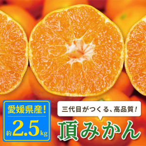 【発送月固定定期便】【定期便3か月】頂みかん2.5kg【E31-57】全3回【4072792】 YWTAC046