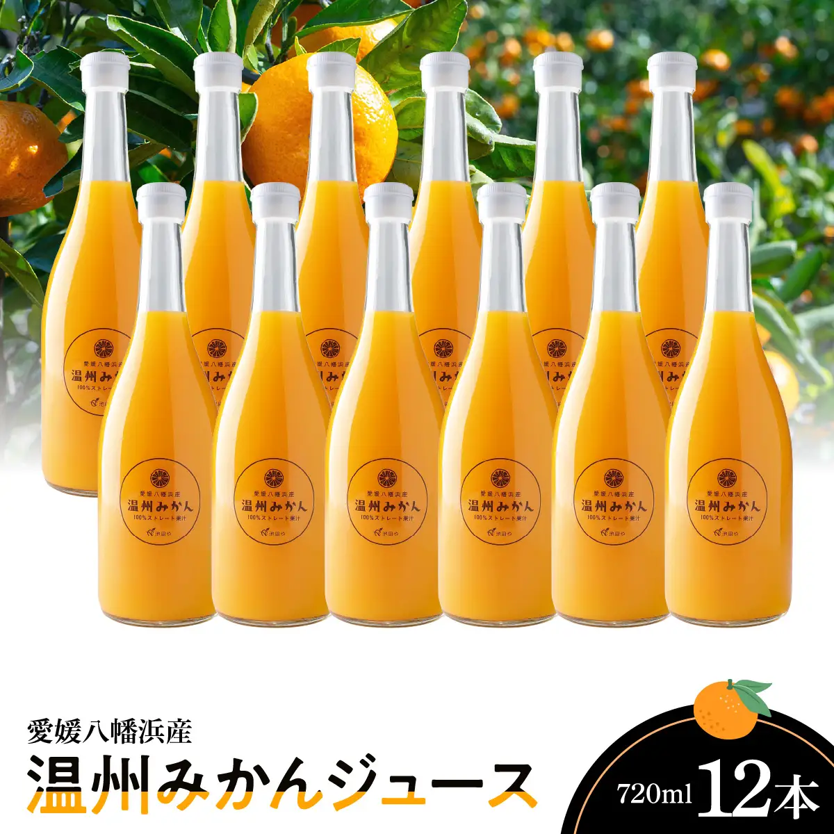 温州みかんジュース(ストレート)720ml×12本【H56-81】【1668640】 YWTAS071