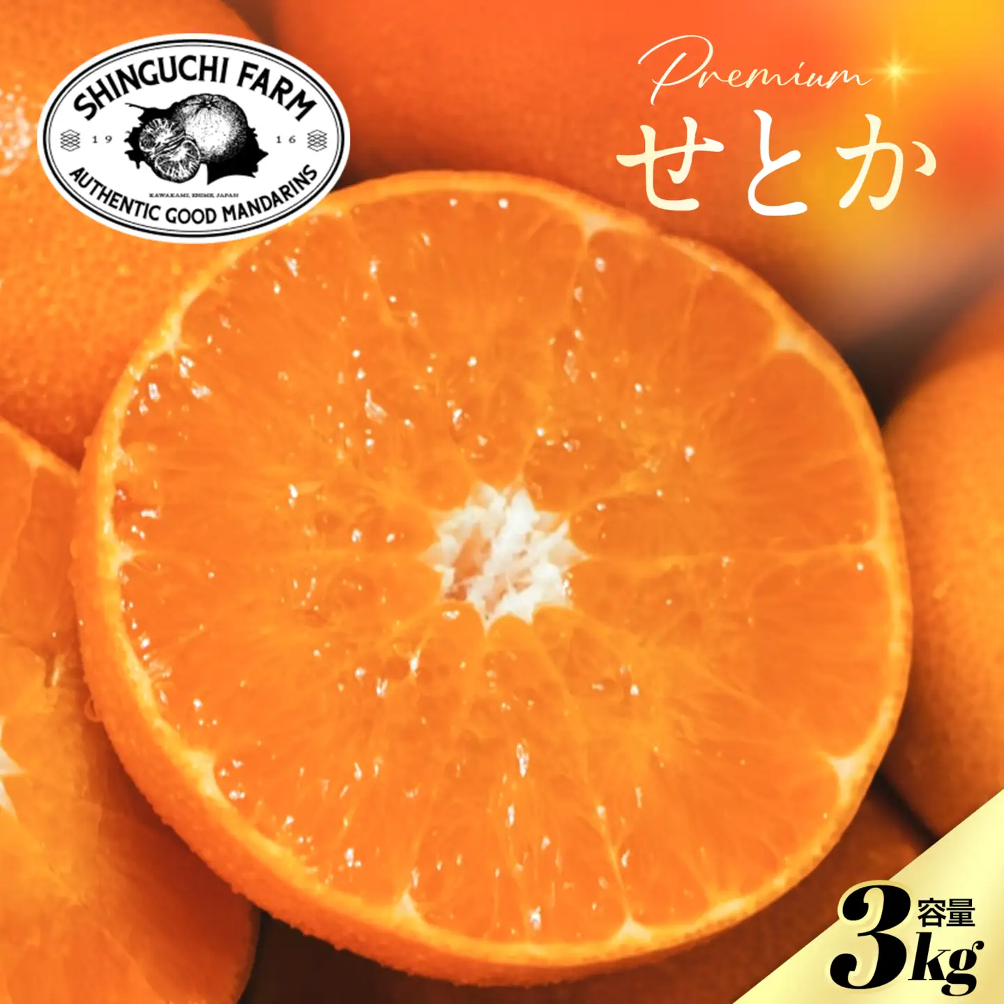 【先行受付】五代目が厳選した「柑橘の大トロ せとか」3kg【D70-97】【1671350】 YWTK096