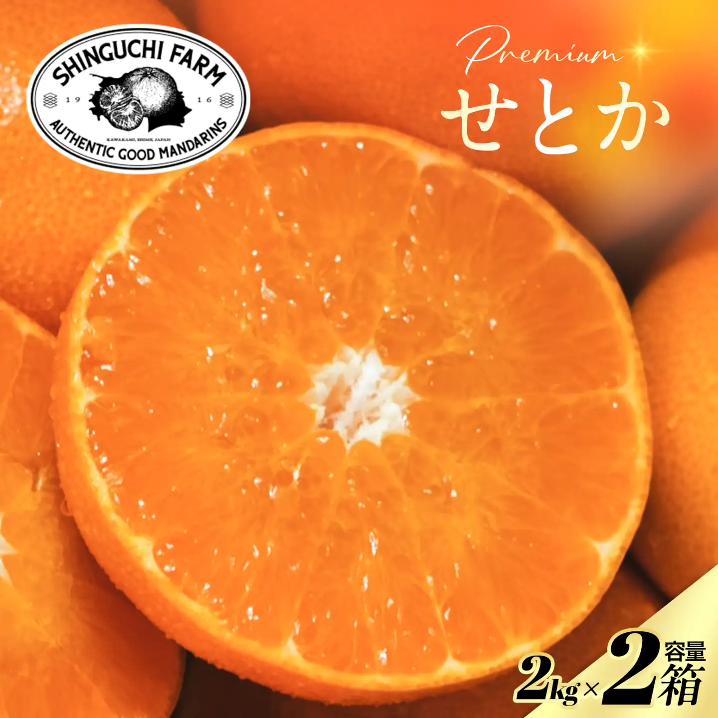 【先行受付】五代目が厳選した「柑橘の大トロ せとか」2kg×2箱【H70-114】【1683910】 YWTK113