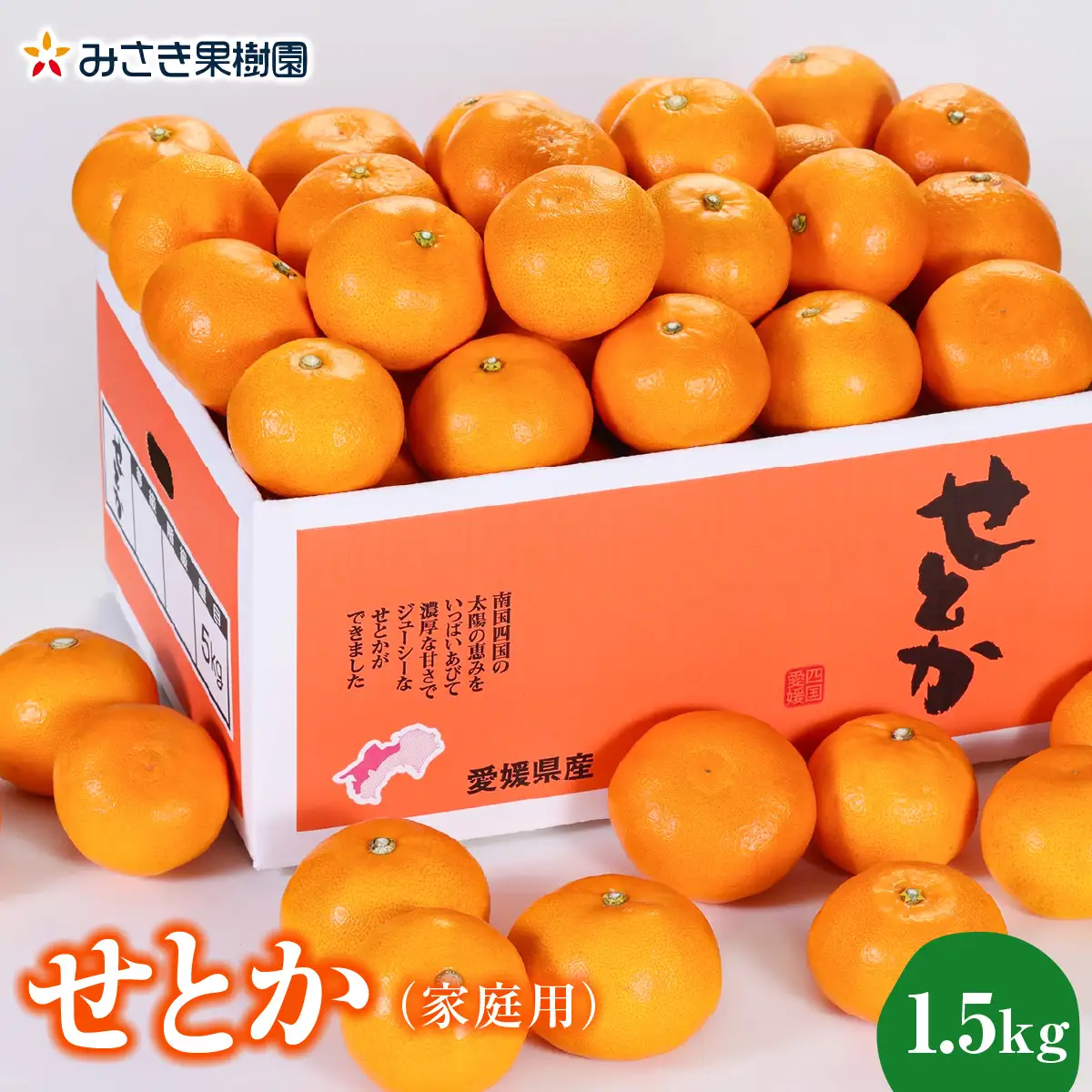 【先行受付】【家庭用】せとか1.5kg【A21-54】YWTBC035