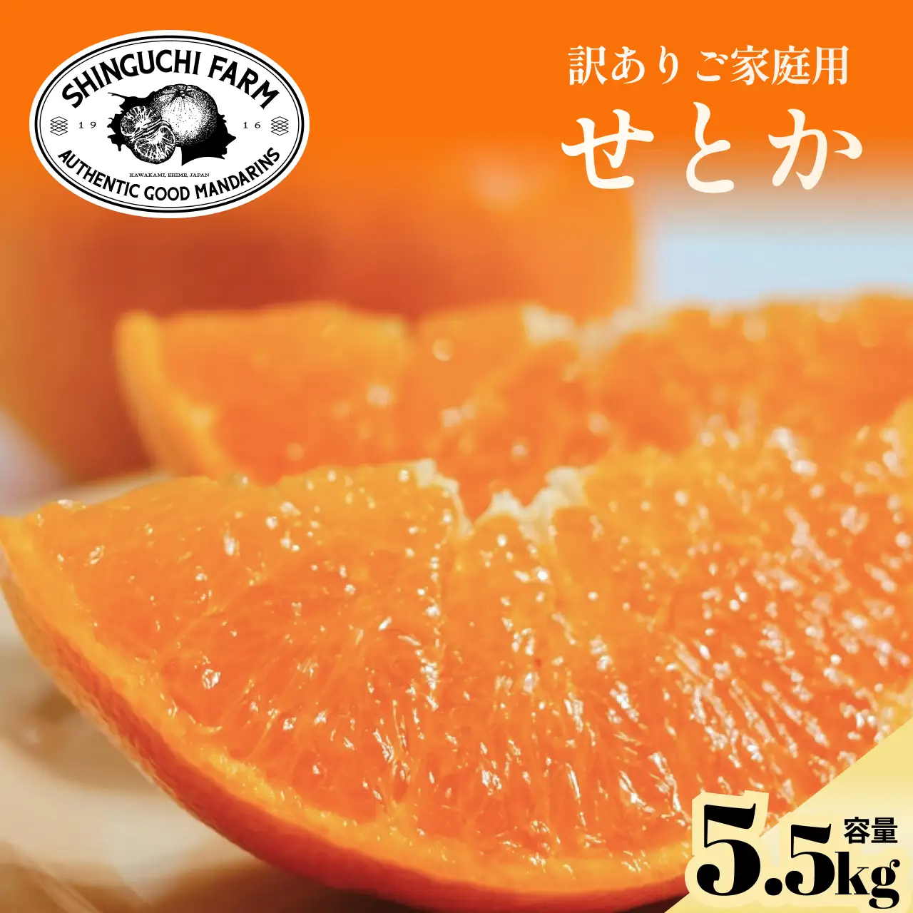 【先行受付】訳ありだけど美味しさそのまま【訳あり】せとか 5.5kg【D70-157】 YWTK156