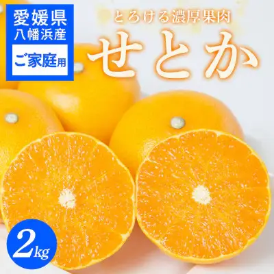 【先行受付】 【ご家庭用】せとか 2kg 愛媛八幡浜産【C25-306】【1712538】 YWTAP247