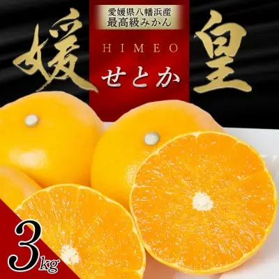 【先行受付】 最高級みかん 媛皇 せとか 3kg 愛媛県 八幡浜市 西宇和地区 柑橘の女王【D25-308】【1713683】 YWTAP249