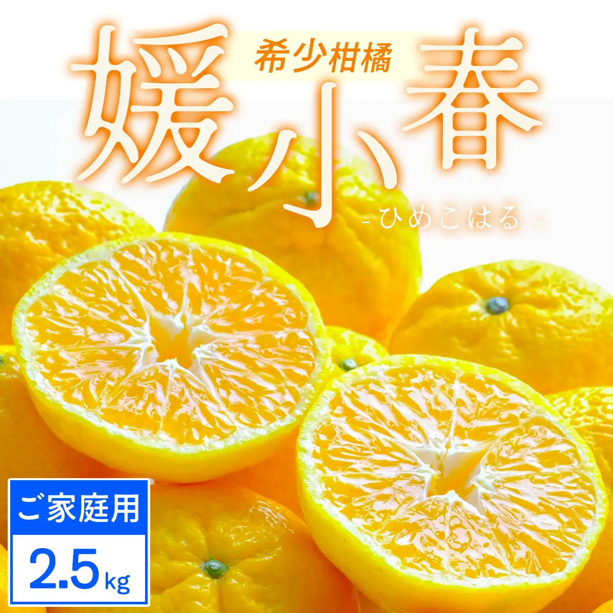 【先行受付】【ご家庭用】媛小春 2.5kg 愛媛県 八幡浜市 西宇和地区 希少な幻の柑橘【C25-323】【1714072】 YWTAP264