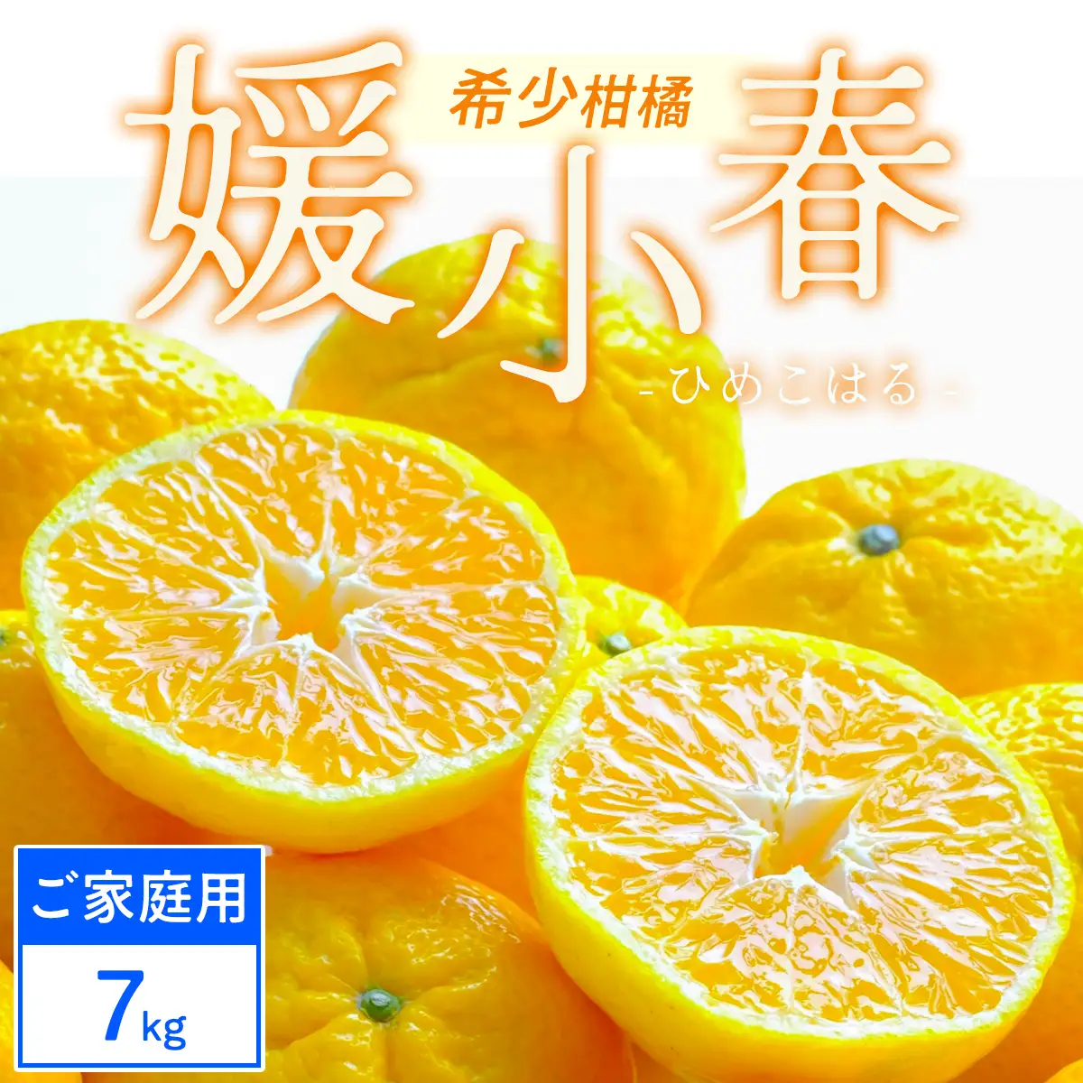 【先行受付】【ご家庭用】媛小春 7kg 愛媛県 八幡浜市 西宇和地区 希少な幻の柑橘【F25-325】【1714079】 YWTAP266