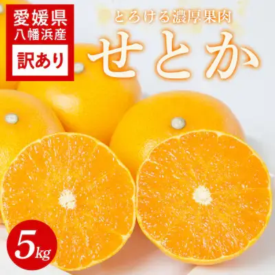 【先行受付】 【訳あり】とろける濃厚柑橘 せとか5kg 愛媛県八幡浜産【C25-336】【1715050】 YWTAP277
