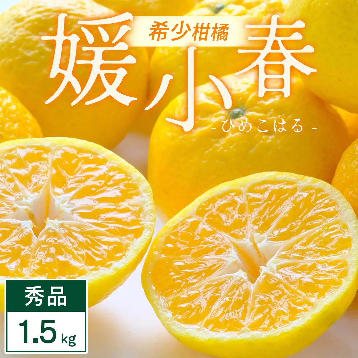 【先行受付】媛小春 1.5kg 愛媛県 八幡浜市 西宇和地区 希少な幻の柑橘 黄色いみかん【C25-357】【1715605】 YWTAP298