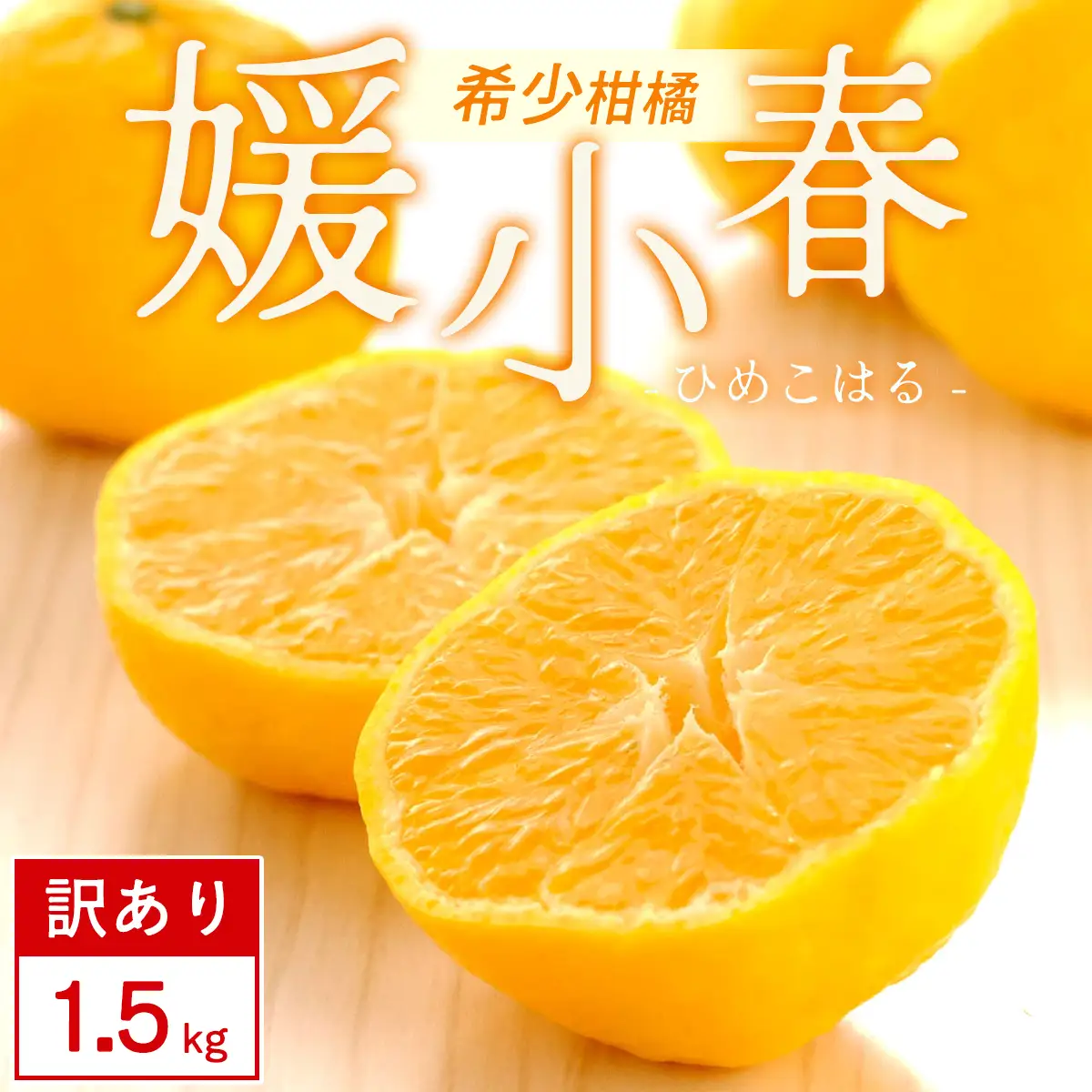 【先行受付】【訳あり】媛小春 1.5kg みかん 愛媛県 八幡浜市 西宇和地区 希少な幻の柑橘【C25-359】【1715672】 YWTAP300