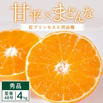 【先行受付】「紅プリンセス」と同品種 4kg みかん 愛媛県 八幡浜市 愛媛果試48号【G25-342】【1715576】 YWTAP283