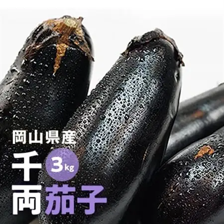 【2026年7月以降発送】なす栽培歴50年の大ベテランが育てた『朝採れ茄子』　3kg【1323067】