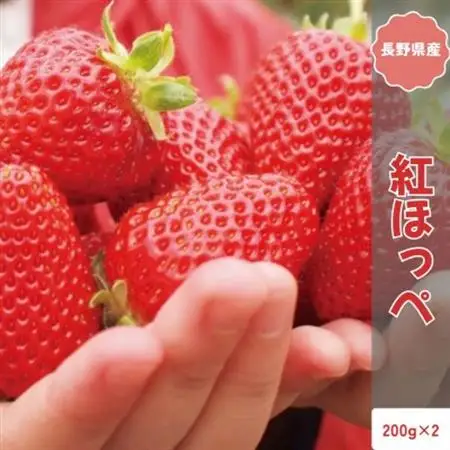 【2026年12月以降順次発送】 長野県産 いちご 紅ほっぺ 2パック【約400g】【配送不可地域：離島】【1705298】