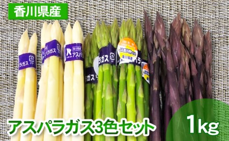 アスパラガス 3色 食べ比べ セット 香川県産 アスパラガス【グリーン500g ホワイト300g パープル200g】 【46311974】