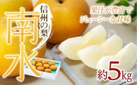 梨 南水 約5kg 2026年 令和8年発送 信州産 産地直送 梨