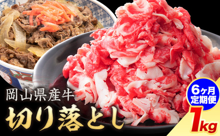 【6ヶ月定期便】岡山県産牛 切り落とし 交雑牛 1kg お試し 大容量