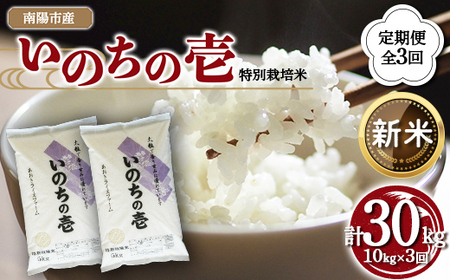 【令和8年産 新米 先行予約】 【金賞受賞農家】 《定期便3回》 特別栽培米 いのちの壱 計10kg(5kg×2袋)×3か月 《令和8年10月中旬～発送》 『あおきライスファーム』 [2404-R8]
