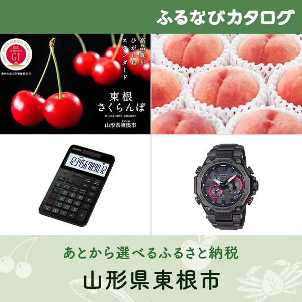 【有効期限なし！後からゆっくり特産品を選べる】山形県東根市カタログポイント