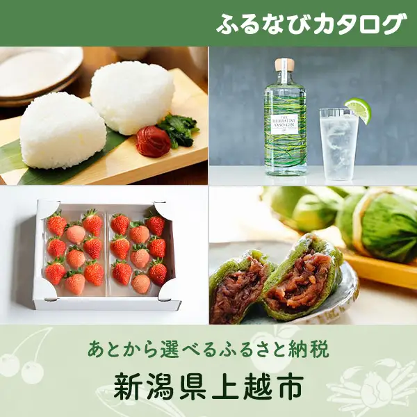 【有効期限なし！後からゆっくり特産品を選べる】新潟県上越市カタログポイント