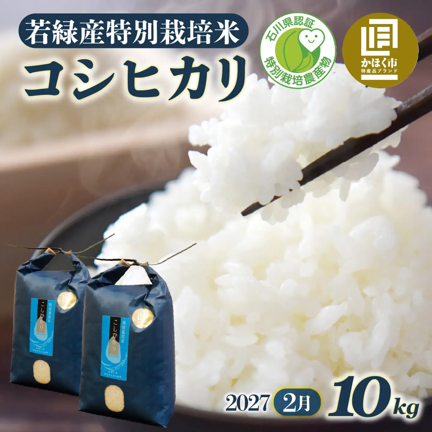 【先行予約】こしひかり 10kg【2027年2月発送】｜ コシヒカリ お米