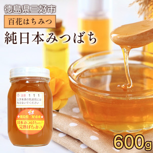 【 先行予約 7月以降発送 】 はちみつ 国産 蜂蜜 百花 600g ニホンミツバチ 【 はちみつ 】 